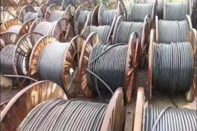 武漢回收服務全解析 資源循環利用，共建綠色城市