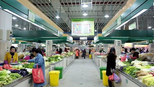 路橋食光 共享美味，打造農(nóng)產(chǎn)品批發(fā)新生態(tài)