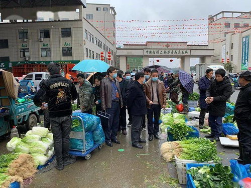 春節期間食用農產品質量安全專項執法行動全面展開，筑牢群眾“菜籃子”安全防線
